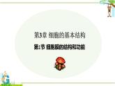 3.1 细胞膜的结构和功能-2024-2025学年高一生物同步教学精品课件（人教版2019必修1）