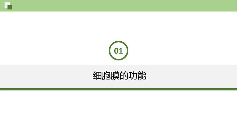 3.1 细胞膜的结构和功能-2024-2025学年高一生物同步教学精品课件（人教版2019必修1）第4页