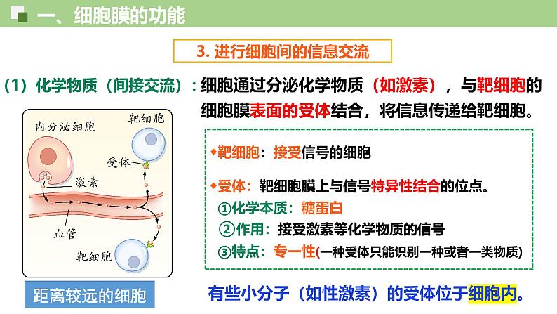 3.1 细胞膜的结构和功能-2024-2025学年高一生物同步教学精品课件（人教版2019必修1）第8页