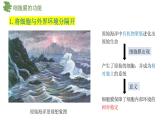 3.1细胞膜的结构和功能课件-2024-2025学年高一上学期生物人教版必修1