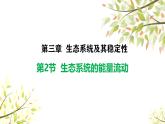 3.2.1生态系统的能量流动课件-2024-2025学年高二上学期生物人教版（2019）选择性必修2
