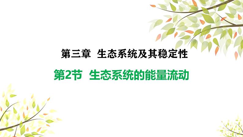 3.2.1生态系统的能量流动课件-2024-2025学年高二上学期生物人教版（2019）选择性必修2第1页