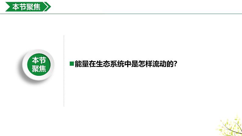 3.2.1生态系统的能量流动课件-2024-2025学年高二上学期生物人教版（2019）选择性必修2第4页