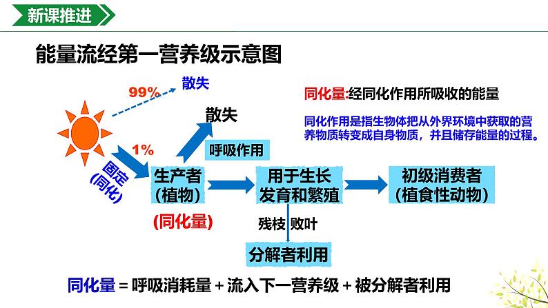 3.2.1生态系统的能量流动课件-2024-2025学年高二上学期生物人教版（2019）选择性必修2第6页