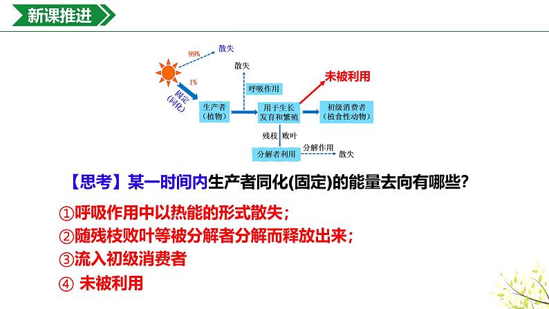 3.2.1生态系统的能量流动课件-2024-2025学年高二上学期生物人教版（2019）选择性必修2第7页