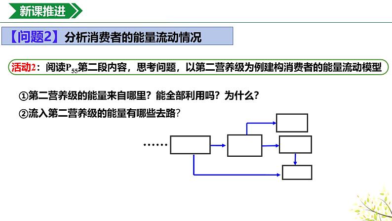 3.2.1生态系统的能量流动课件-2024-2025学年高二上学期生物人教版（2019）选择性必修2第8页