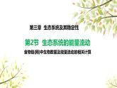 3.2.3生态系统的能量流动课件-2024-2025学年高二上学期生物人教版（2019）选择性必修2