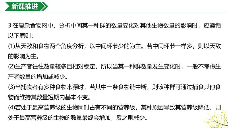 3.2.3生态系统的能量流动课件-2024-2025学年高二上学期生物人教版（2019）选择性必修2第3页