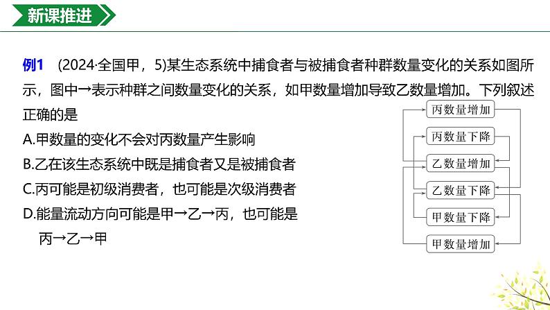 3.2.3生态系统的能量流动课件-2024-2025学年高二上学期生物人教版（2019）选择性必修2第4页