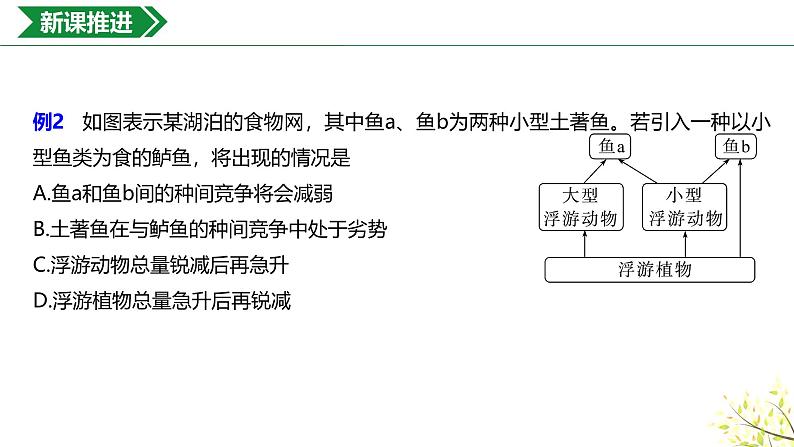 3.2.3生态系统的能量流动课件-2024-2025学年高二上学期生物人教版（2019）选择性必修2第5页