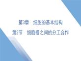 3.2细胞器之间的分工合作（第1课时）课件-2024-2025学年高一上学期生物人教版（2019）必修1