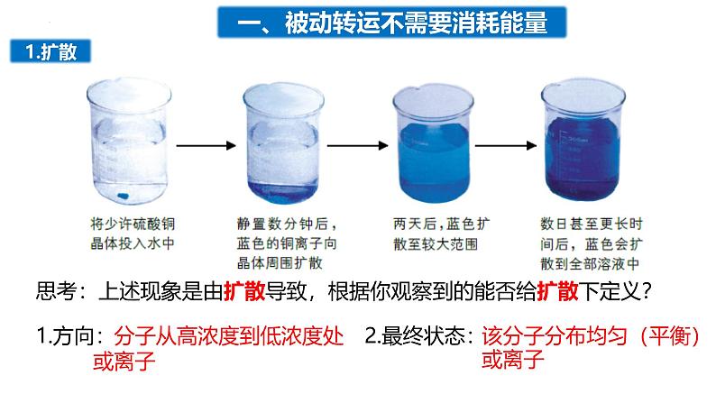 3.3物质通过多种方式出入细胞课件-2024-2025学年高一上学期生物浙科版必修1第2页