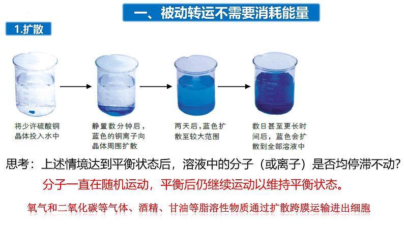 3.3物质通过多种方式出入细胞课件-2024-2025学年高一上学期生物浙科版必修1第3页