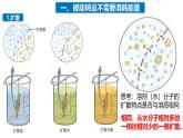 3.3物质通过多种方式出入细胞课件-2024-2025学年高一上学期生物浙科版必修1