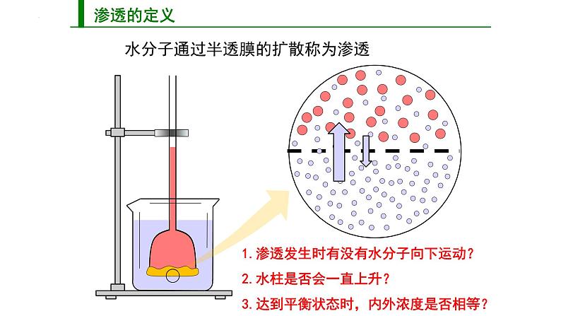 3.3物质通过多种方式出入细胞课件-2024-2025学年高一上学期生物浙科版必修1第8页