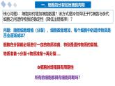 4.1细胞通过分裂增殖课件-2024-2025学年高一上学期生物浙科版必修1