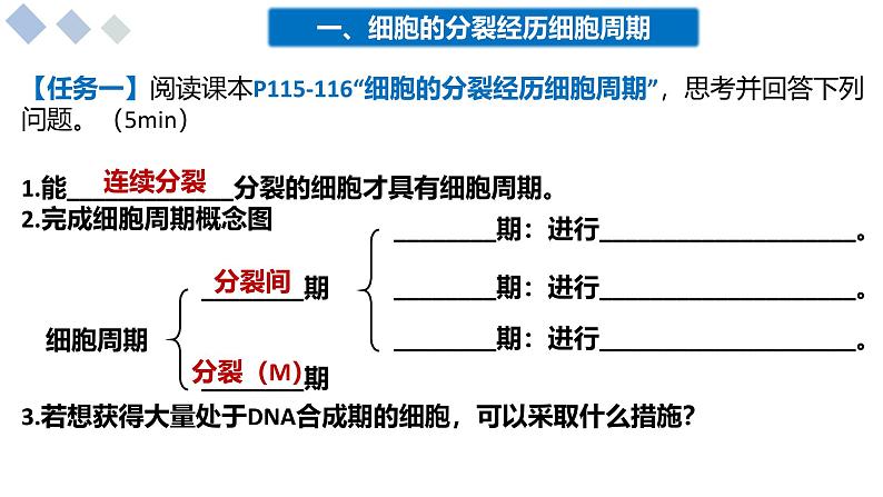 4.1细胞通过分裂增殖课件-2024-2025学年高一上学期生物浙科版必修1第3页