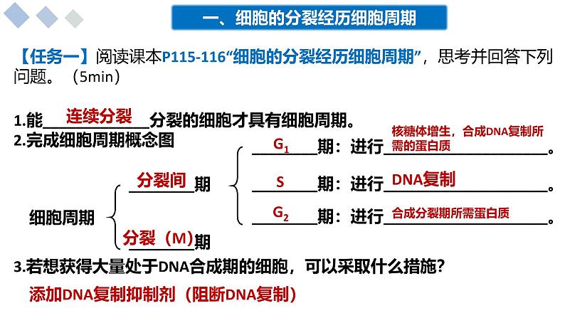 4.1细胞通过分裂增殖课件-2024-2025学年高一上学期生物浙科版必修1第4页