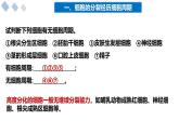 4.1细胞通过分裂增殖课件-2024-2025学年高一上学期生物浙科版必修1