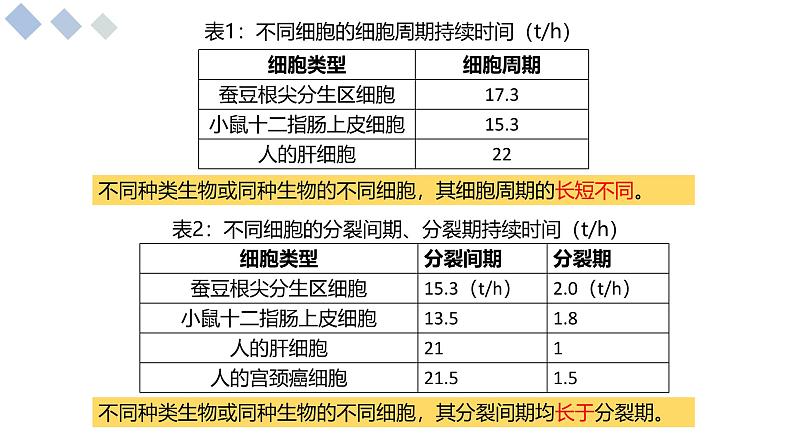 4.1细胞通过分裂增殖课件-2024-2025学年高一上学期生物浙科版必修1第6页