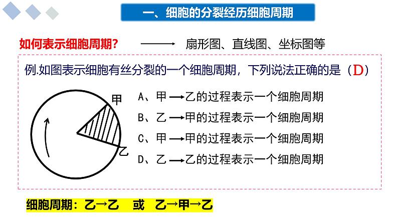 4.1细胞通过分裂增殖课件-2024-2025学年高一上学期生物浙科版必修1第7页