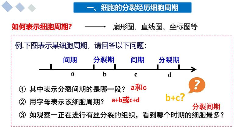 4.1细胞通过分裂增殖课件-2024-2025学年高一上学期生物浙科版必修1第8页