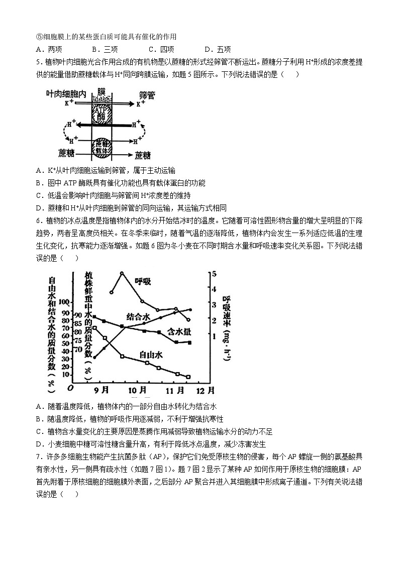 重庆市2024-2025学年高三上学期10月期中生物试题02