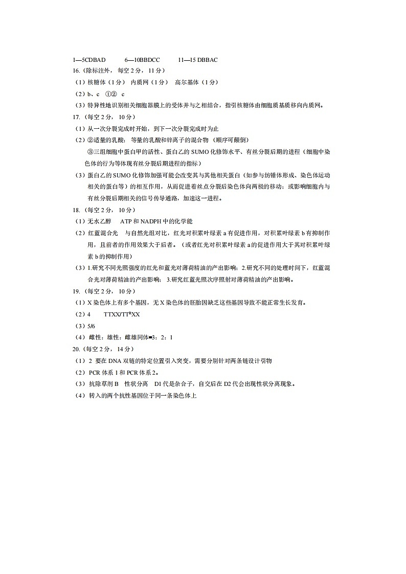 重庆市2024-2025学年高三上学期10月期中生物试题01