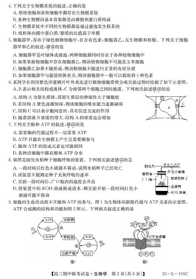 内蒙古鄂尔多斯市西四旗2024-2025学年高三上学期期中考试生物试题第2页
