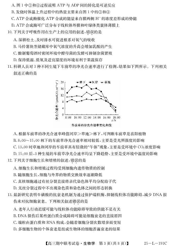 内蒙古鄂尔多斯市西四旗2024-2025学年高三上学期期中考试生物试题第3页