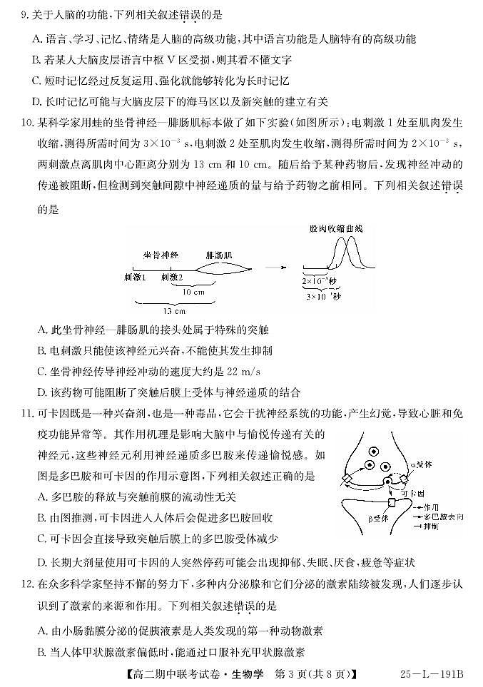 内蒙古鄂尔多斯市西四旗2024-2025学年高二上学期期中考试生物试题第3页
