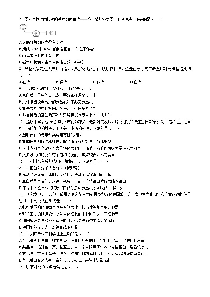陕西省渭南市临渭区渭南市三贤中学2024-2025学年高一上学期11月期中考试生物试题(无答案)02