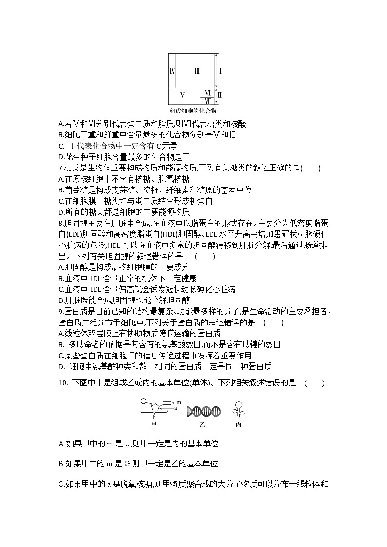 河北省衡水市武邑县第二中学2024-2025学年高一上学期期中考试生物试题第2页