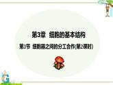 3.2 细胞器之间的分工与合作（第2课时）-2024-2025学年高一生物同步教学精品课件（人教版2019必修1）