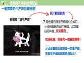 3.2 细胞器之间的分工与合作（第2课时）-2024-2025学年高一生物同步教学精品课件（人教版2019必修1）