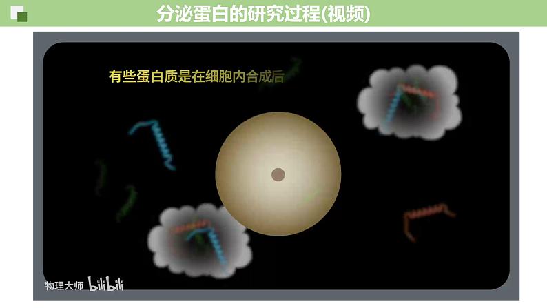 3.2 细胞器之间的分工与合作（第2课时）-2024-2025学年高一生物同步教学精品课件（人教版2019必修1）第6页