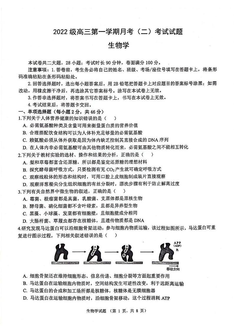 陕西省西安市2024-2025学年高三上学期11月月考生物试题01
