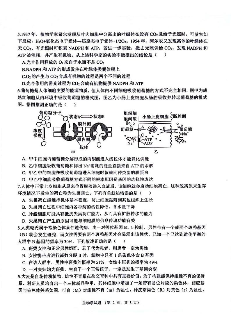 陕西省西安市2024-2025学年高三上学期11月月考生物试题02