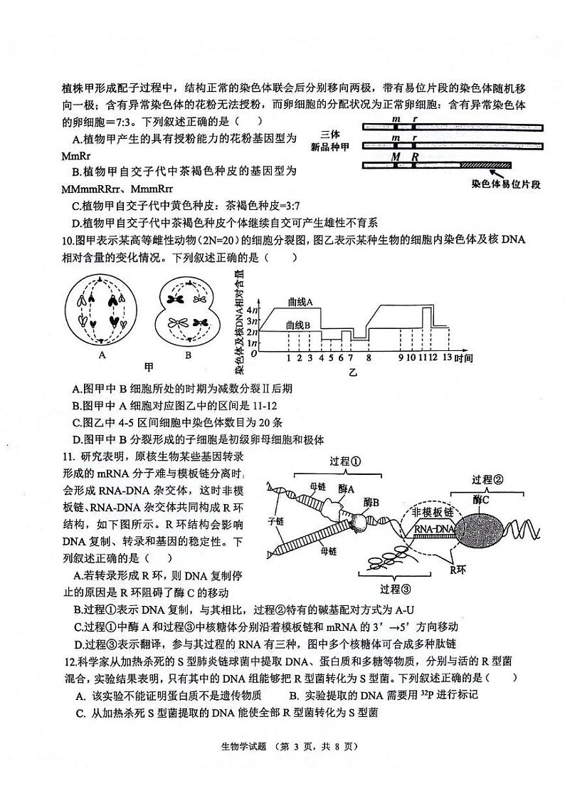 陕西省西安市2024-2025学年高三上学期11月月考生物试题03