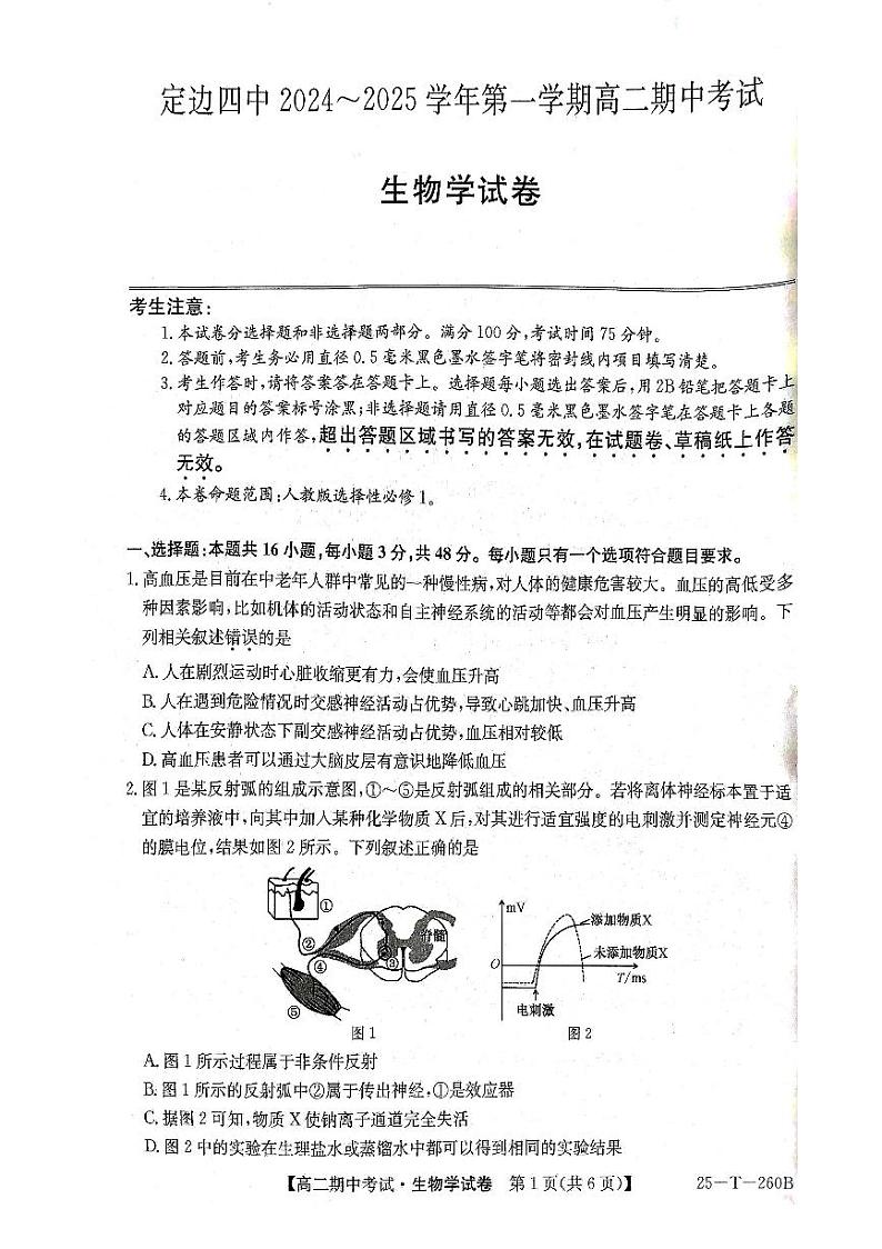 陕西省定边县第四中学2024-2025学年高二上学期期中考试生物试卷第1页