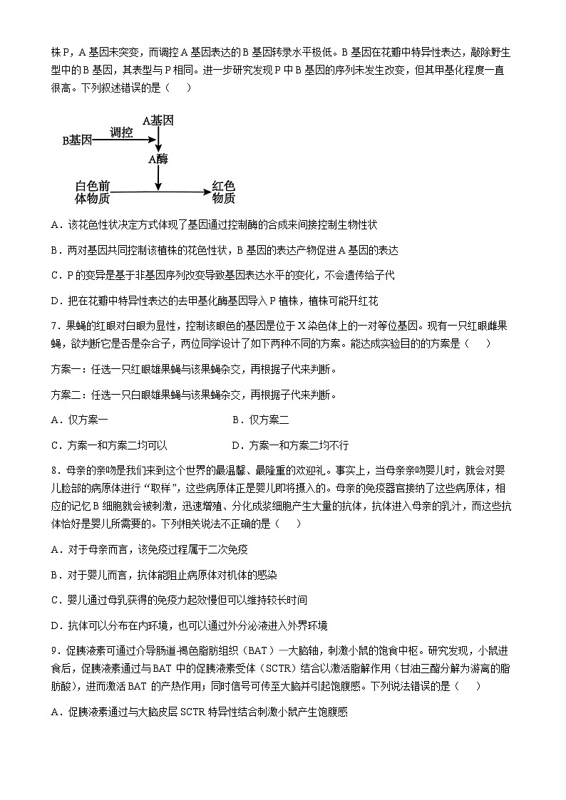 宁夏回族自治区石嘴山市2024-2025学年高三上学期10月期中生物试题(无答案)第3页