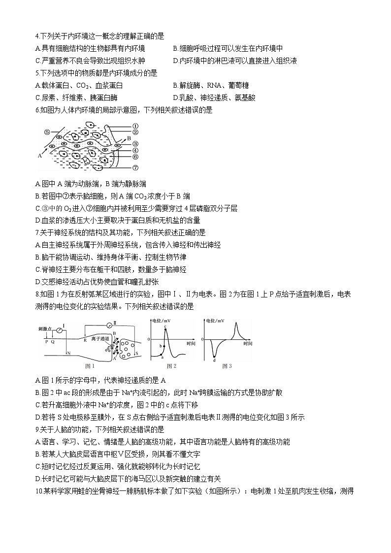 内蒙古鄂尔多斯市西四旗2024-2025学年高二上学期期中考试生物试题02