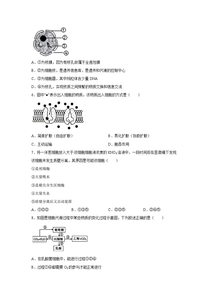 黑龙江省齐齐哈尔市朝鲜族学校2022-2023学年高一下学期期末生物试卷(解析版)第2页