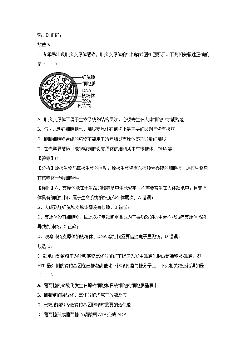 河南省新高中创新联盟TOP二十名校2023-2024学年高二下学期6月调研考试生物试卷(解析版)02