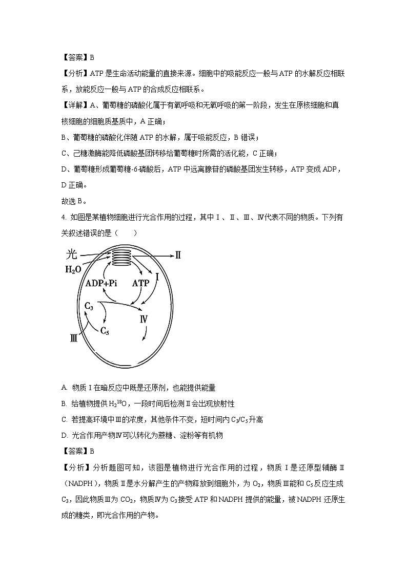 河南省新高中创新联盟TOP二十名校2023-2024学年高二下学期6月调研考试生物试卷(解析版)03