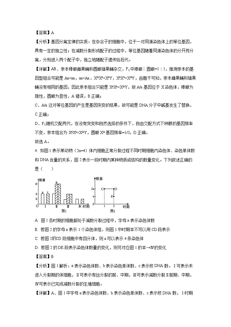 河南省周口市鹿邑县2023-2024学年高一下学期6月月考生物试卷(解析版)03