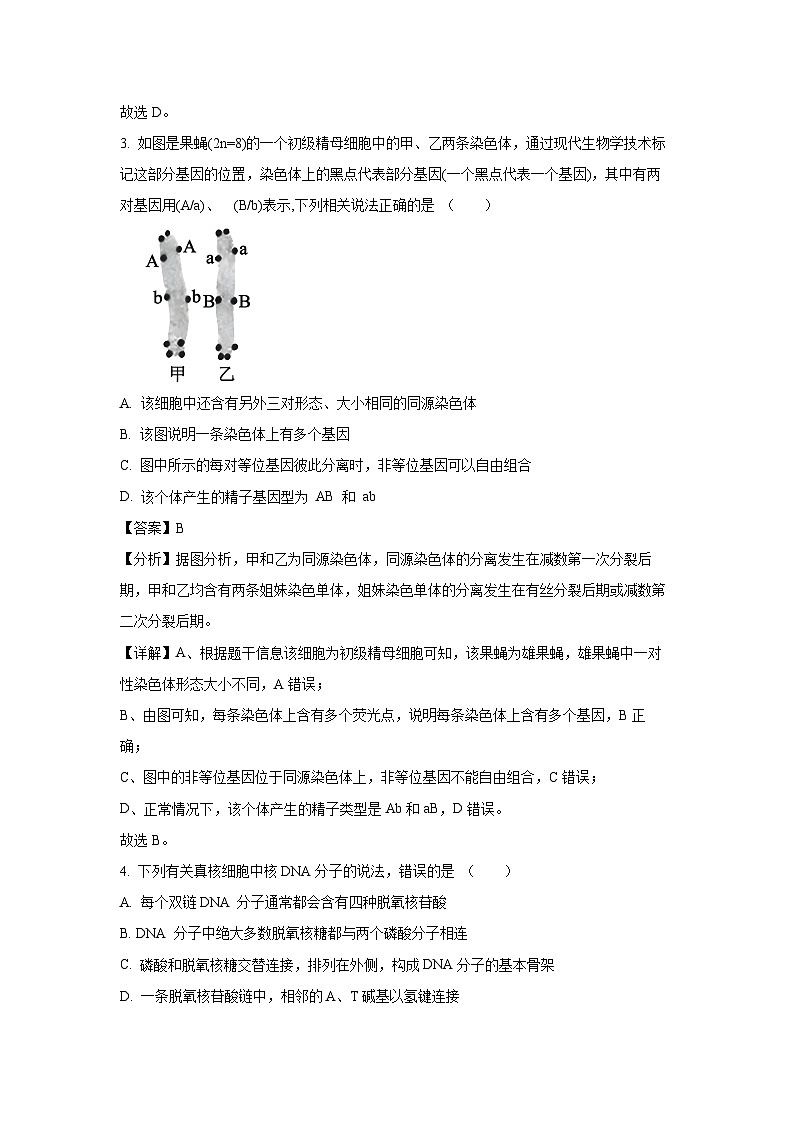 江苏省泰州市2023-2024学年高一下学期期末生物试卷(解析版)03