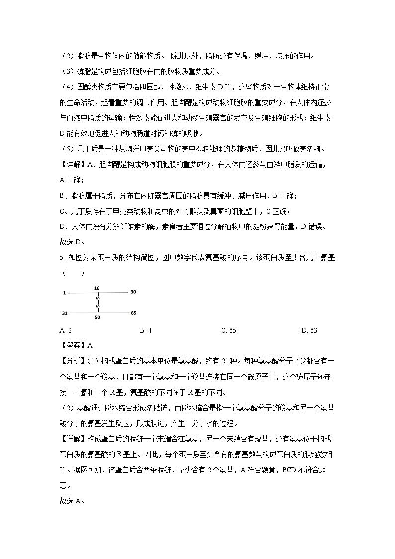 天津市河东区2024年普通高中学业水平合格性考试模拟生物试卷(解析版)第3页