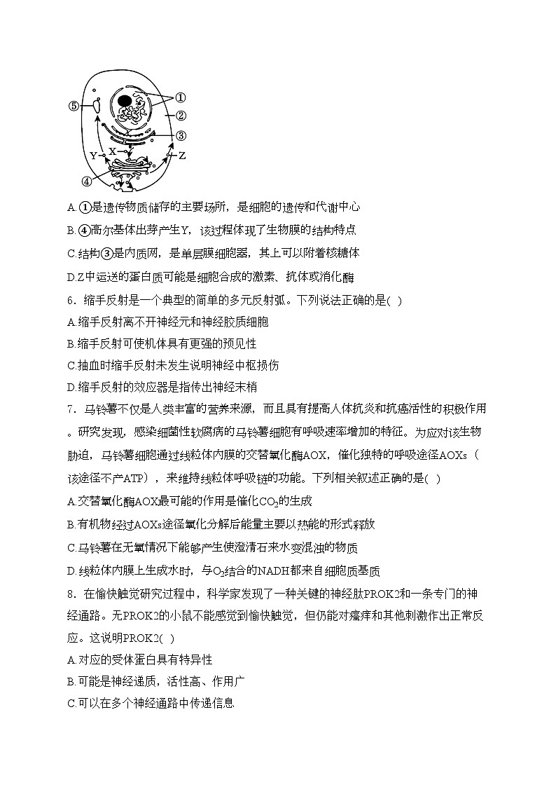 湖南省岳阳市临湘市2024-2025学年高一上学期9月月考生物试卷(含答案)第2页