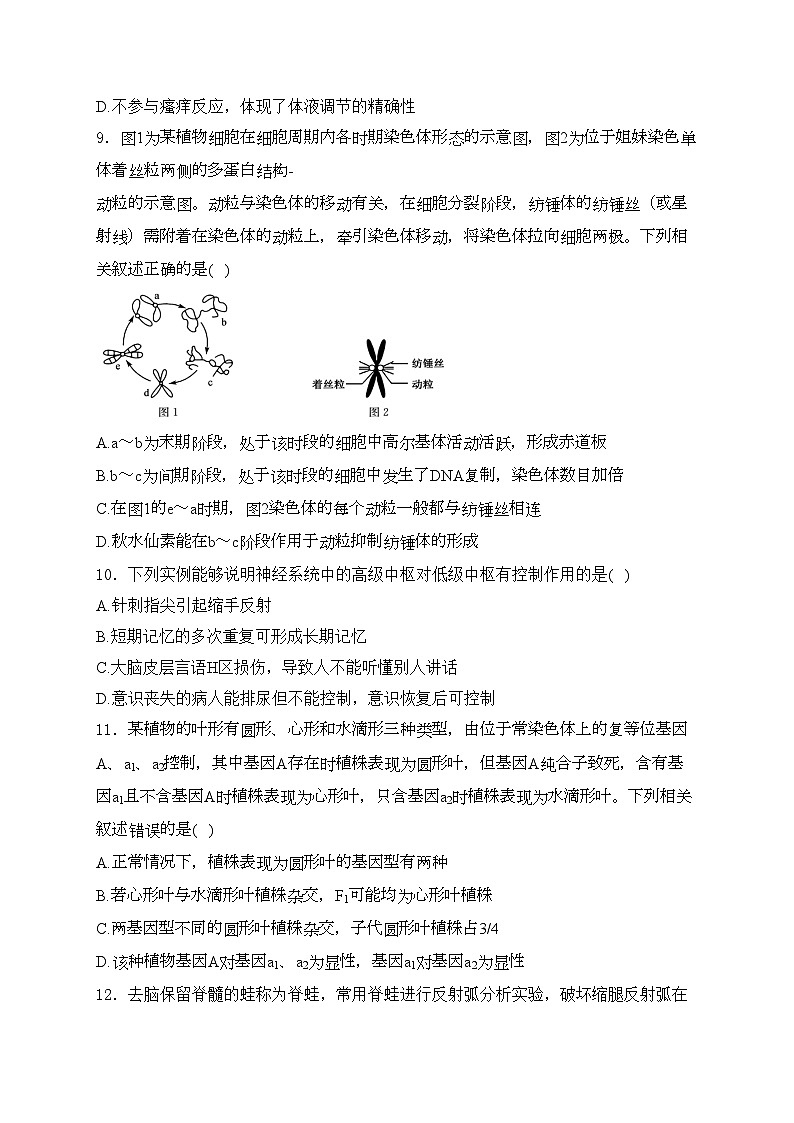 湖南省岳阳市临湘市2024-2025学年高一上学期9月月考生物试卷(含答案)第3页